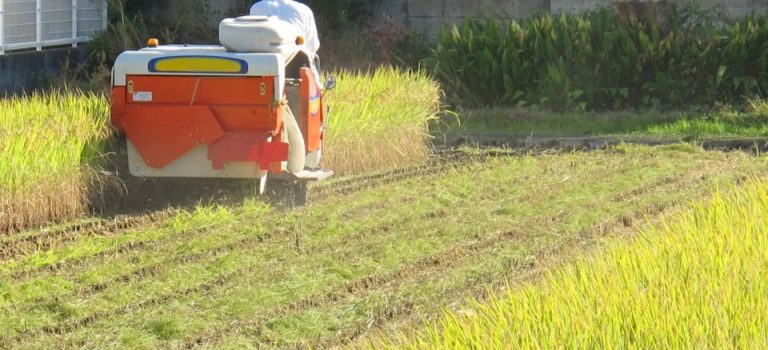知らなきゃ損する解体工事の費用相場と安全対策の秘密